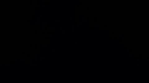 camilio96 online show from December 2024 05:42:01 AM