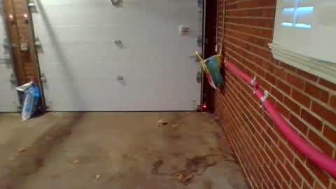 cammyman6900 online show from December 2024 01:34:02 PM