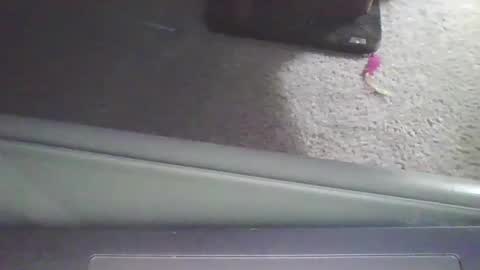 cammyman6900 online show from September 2025 04:01:01 AM