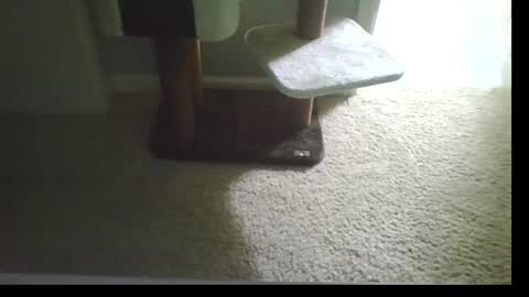 cammyman6900 online show from September 2025 04:47:01 AM