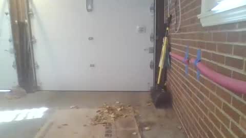 cammyman6900 online show from November 2025 04:28:02 PM