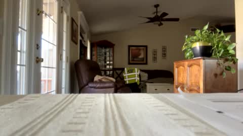 james online show from January 2025 09:25:01 PM