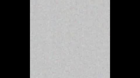 Taisia online show from January 2025 09:46:01 AM