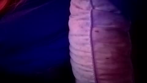 Candi online show from November 2025 02:06:01 AM