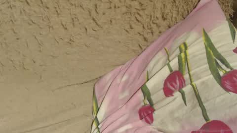 say meow and send tips  online show from December 2024 09:11:01 PM