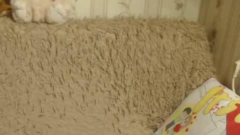 say meow and send tips  online show from January 2025 03:53:02 PM