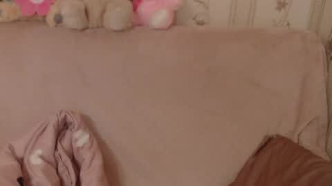 say meow and send tip  online show from June 2026 08:39:02 AM