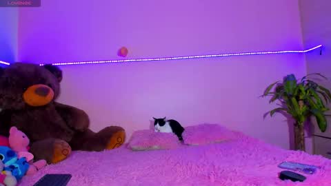 Onika   instagram   canndy888  online show from October 2025 01:37:02 AM