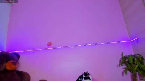 Onika   instagram   canndy888  online show from November 2025 02:36:01 AM