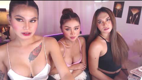 caprize_diva online show from February 2026 09:38:01 AM