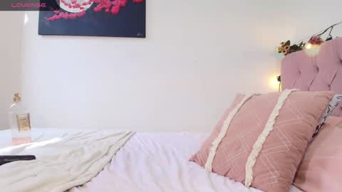 carolina online show from December 2024 08:02:02 PM