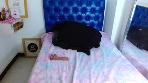 Carla online show from January 2025 05:55:01 PM