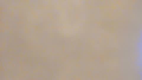 Snapshot of carliescott_meow chatting on January 2025 04:19:02 AM Carlie online show from January 2025 04:19:02 AM