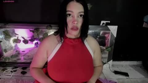 carolina dorothy online show from February 2026 09:13:01 PM