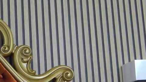 carolinahart online show from March 2026 06:51:01 AM