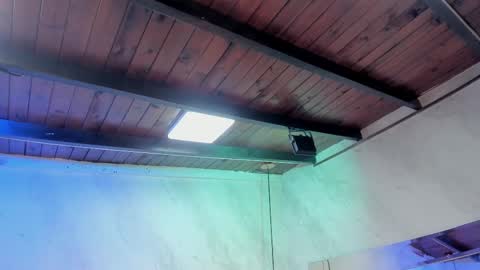 Carolina online show from February 2026 03:27:01 AM