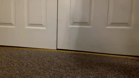 cash13bychanel online show from March 2025 09:14:02 AM