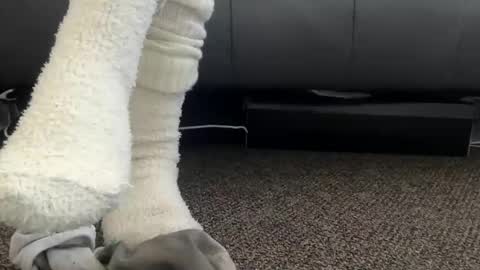 cash13bychanel online show from December 2025 06:59:02 PM