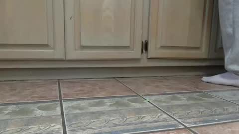 cash13bychanel online show from December 2025 07:44:01 PM