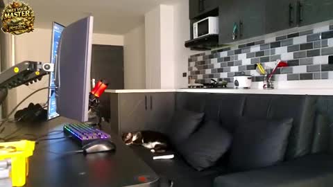 cash_master777 online show from May 2026 01:07:01 PM