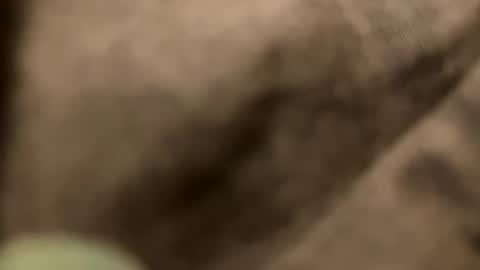 casidy1 online show from February 2025 11:21:02 PM