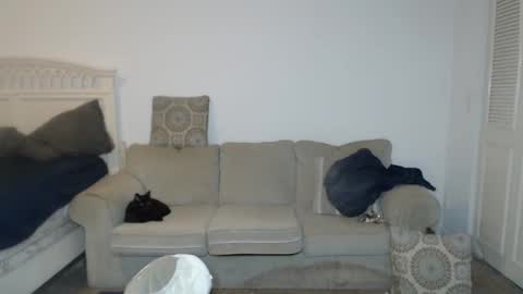 CasinoCam online show from February 2025 05:09:02 AM