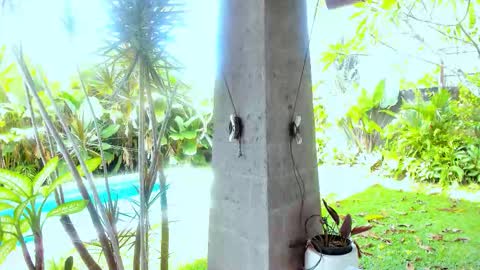 Snapshot of cassie_palmer chatting on February 2026 01:12:01 AM Hello my name is Cassie and my friend Nilo is also here online show from February 2026 01:12:01 AM