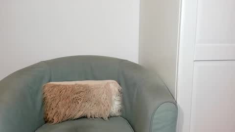 cassiecute - onlyfans account online show from March 2026 08:47:01 PM