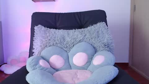 cat online show from January 2025 10:12:02 PM