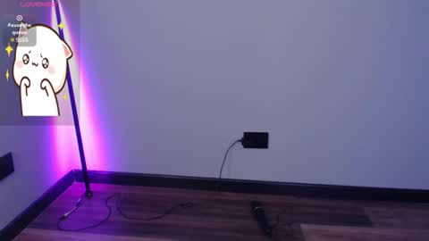 cat online show from November 2025 12:32:01 AM