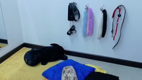 Cata online show from January 2025 06:02:01 PM