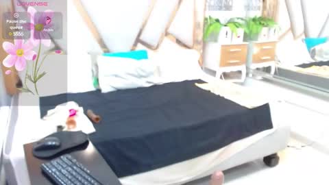 Cata online show from December 2024 12:35:01 PM