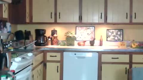 CATALYSTIC online show from December 2024 11:20:02 AM