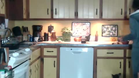 CATALYSTIC online show from January 2025 09:41:02 AM