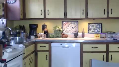 CATALYSTIC online show from February 2025 03:28:02 PM