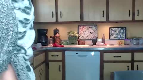 CATALYSTIC online show from February 2025 02:32:02 PM