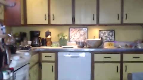 CATALYSTIC online show from February 2025 03:16:02 PM