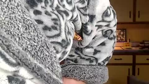 CATALYSTIC online show from March 2025 09:53:02 AM