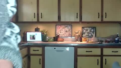 CATALYSTIC online show from September 2025 02:49:02 PM