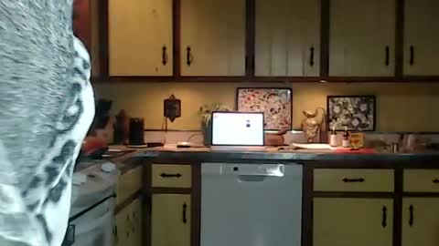 CATALYSTIC online show from October 2025 11:27:01 AM