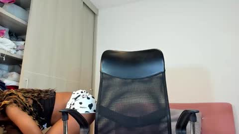 catta cat18 online show from October 2025 09:48:02 PM