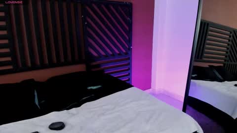 Cattleya online show from November 2025 09:47:02 PM