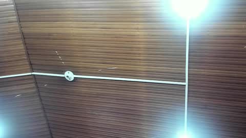 caylincollins online show from February 2026 12:48:02 PM