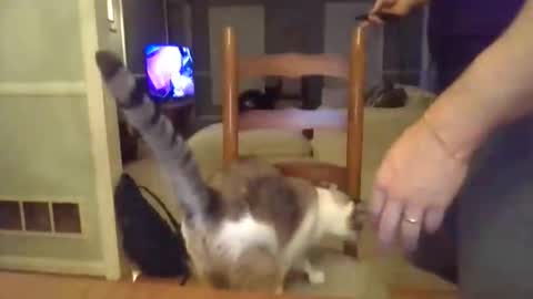 cbisc online show from March 2026 12:10:02 AM