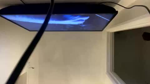 Snapshot of ccsexycam chatting on April 2026 01:00:02 AM ccsexycam online show from April 2026 01:00:02 AM