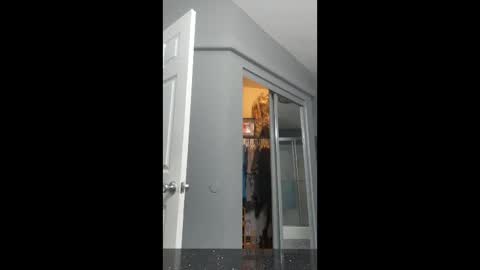 cdlisaann online show from March 2026 02:56:02 PM