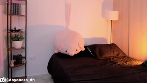 Alice online show from February 2025 02:15:02 AM