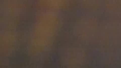 celestepink_jl online show from November 2025 12:42:02 AM