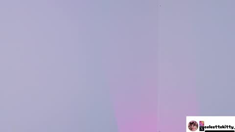 celestte_evans_1 online show from December 2025 03:01:02 AM