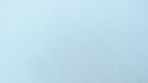 celiani_caleb online show from November 2025 03:08:02 AM